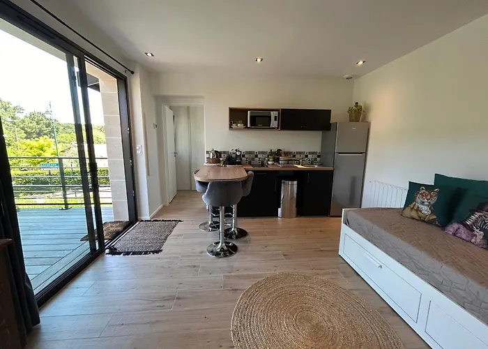 Appartement Neuf T2 Avec Jardin Et Terrasses